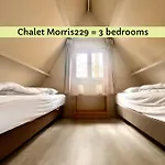 Morris229 דורבורי